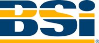 BSI BS EN ISO 9697